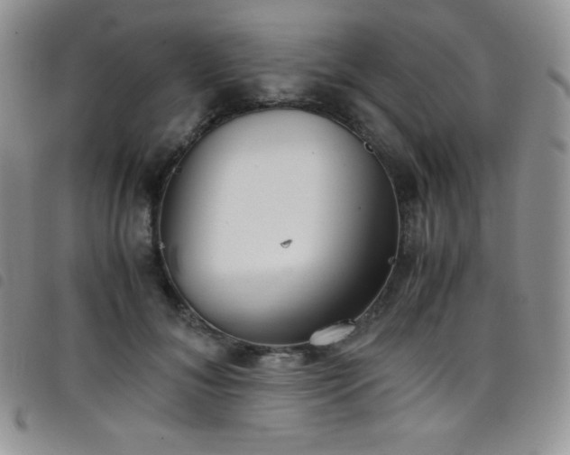 X0000099230700200804241453