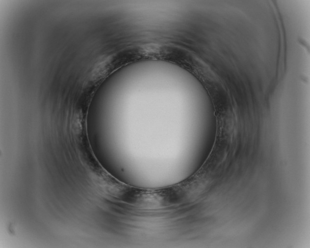 X0000099230702200804241453