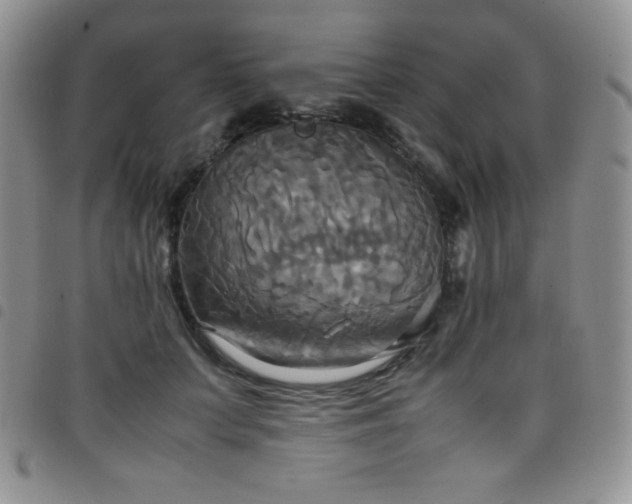 X0000099230703200804241453