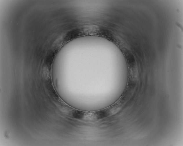 X0000099230705200804241453