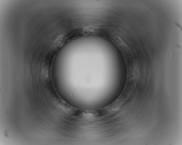 X0000099230706200804241453