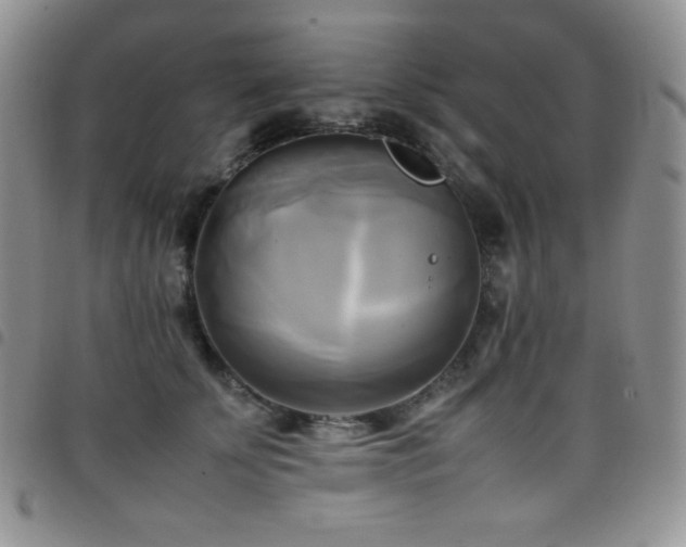 X0000099230707200804241453