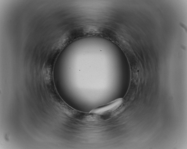 X0000099230708200804241453