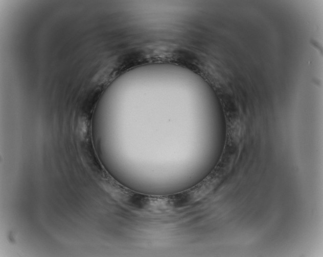 X0000099230709200804241453