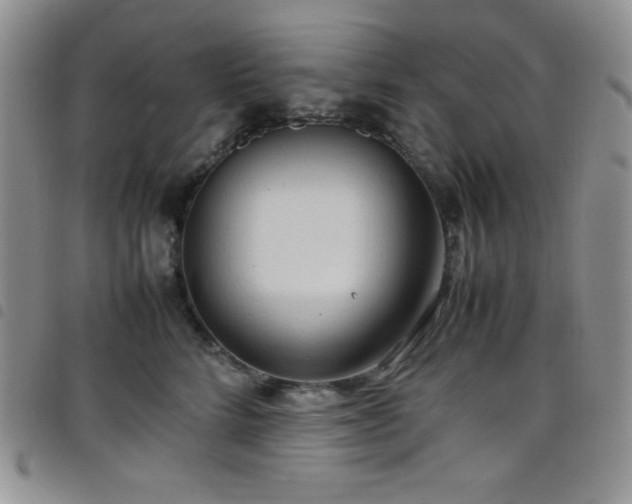 X0000099230712200804241453