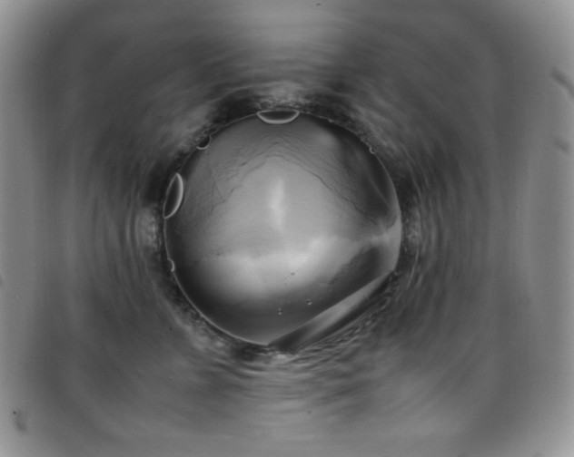 X0000099230715200804241453
