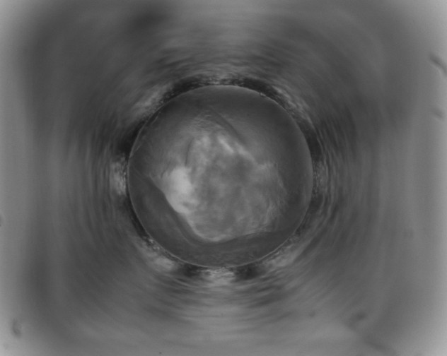 X0000099230719200804241453
