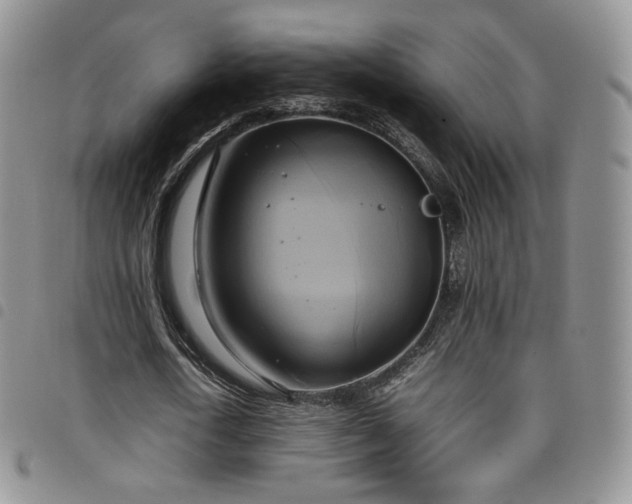 X0000099230722200804241452