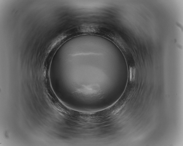 X0000099230723200804241452