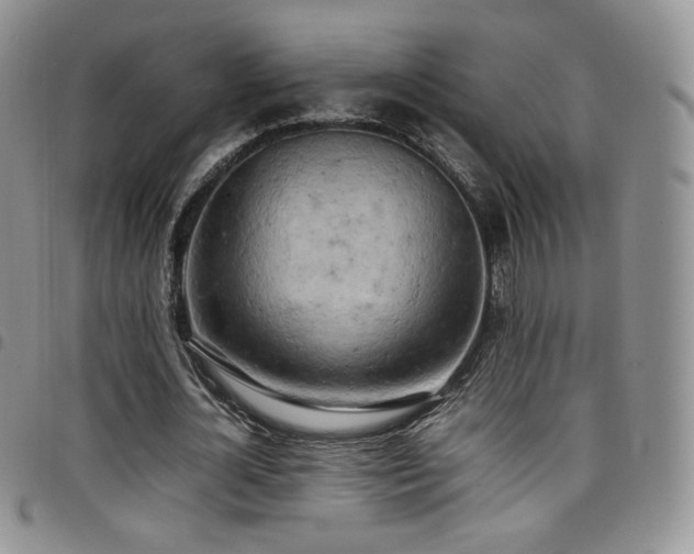 X0000099230724200804241452