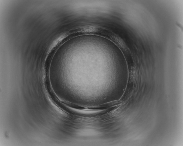X0000099230726200804241452