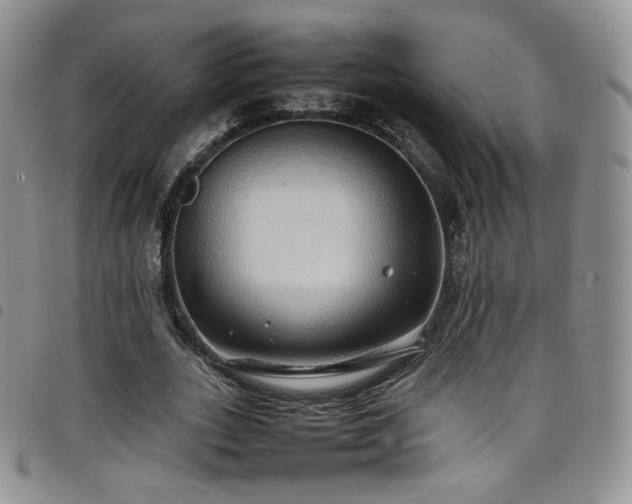 X0000099230727200804241452