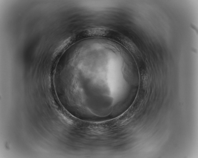 X0000099230729200804241452