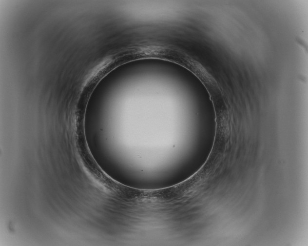 X0000099230730200804241452