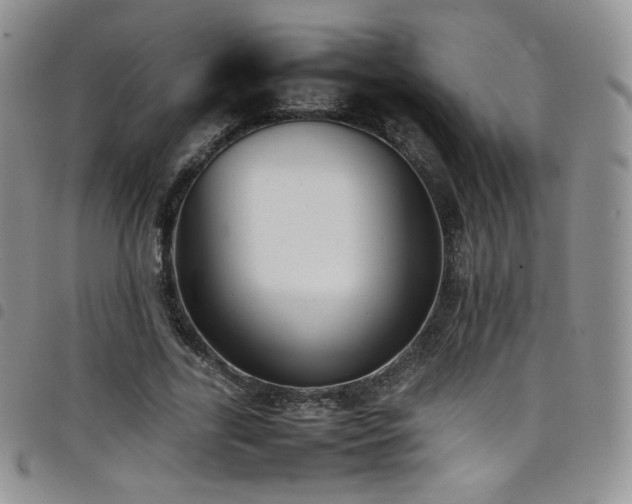 X0000099230731200804241452