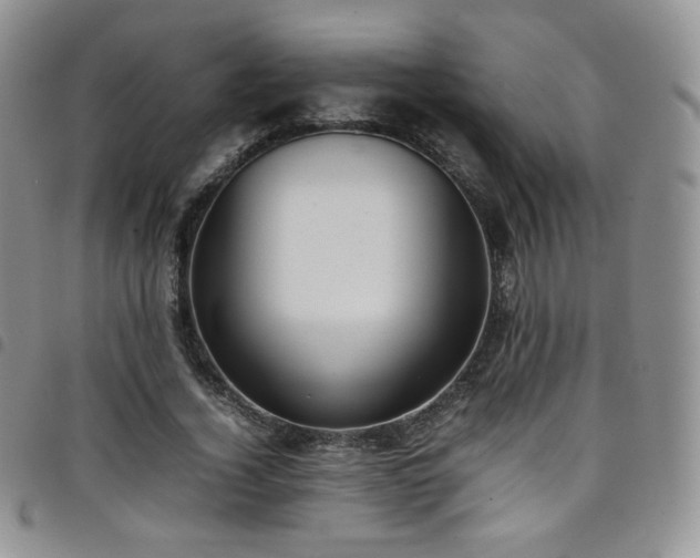 X0000099230732200804241452