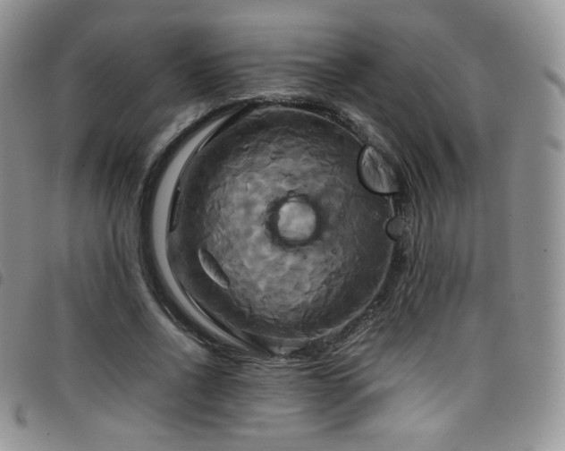 X0000099230734200804241452