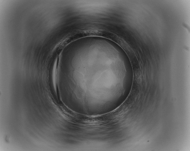 X0000099230735200804241452