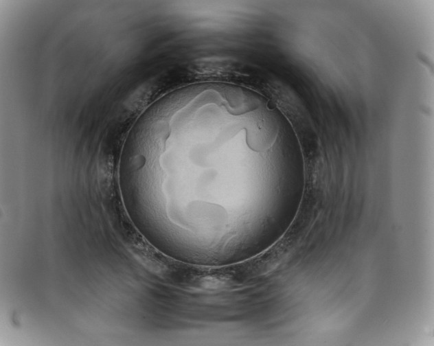 X0000099230737200804241452