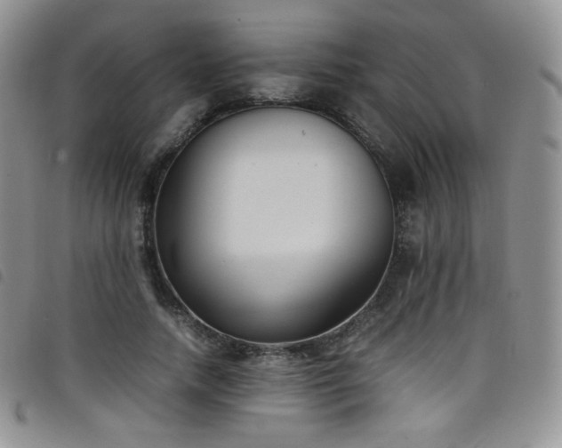 X0000099230738200804241452