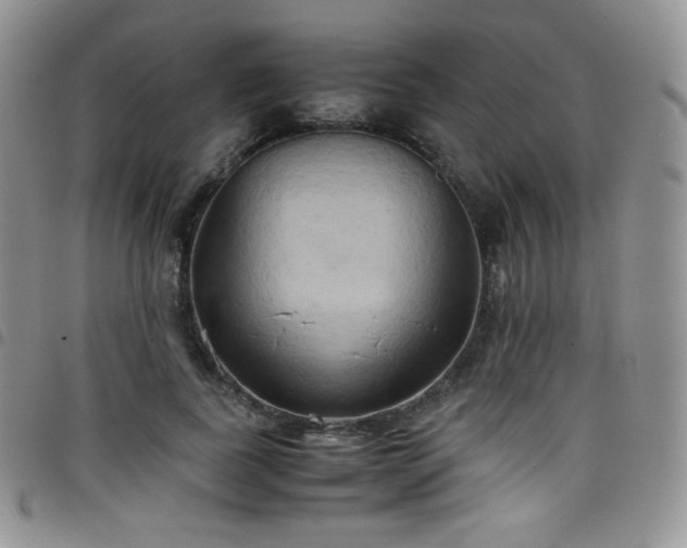X0000099230739200804241452