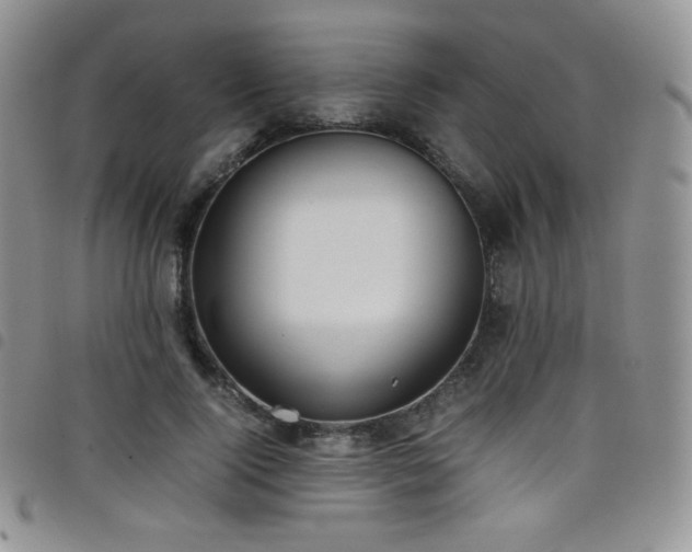 X0000099230740200804241452