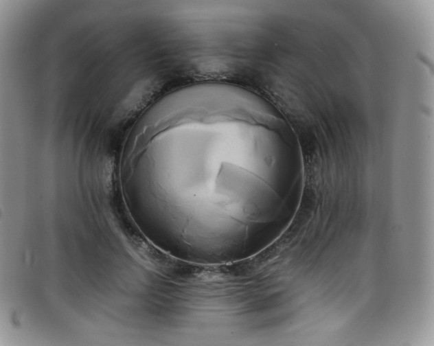 X0000099230742200804241452