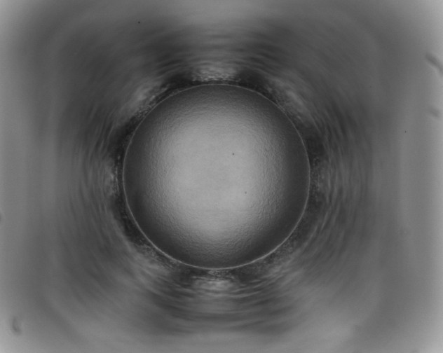 X0000099230743200804241452