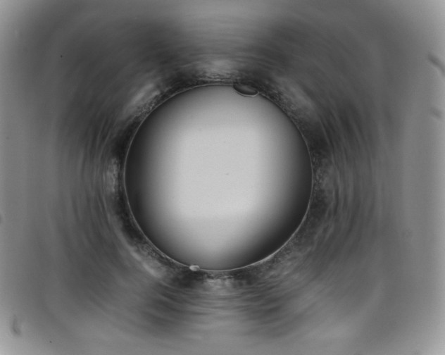 X0000099230744200804241452