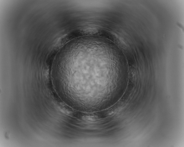X0000099230745200804241452