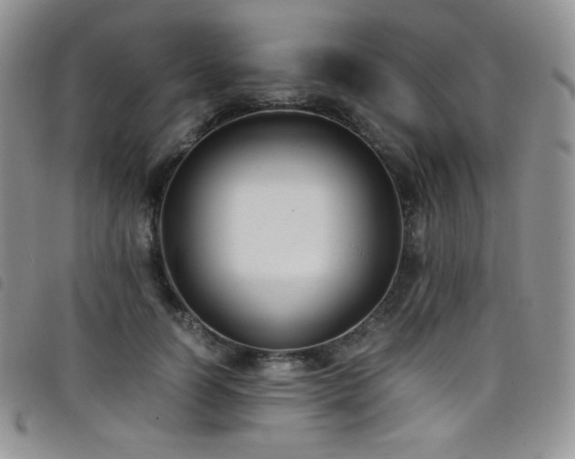 X0000099230746200804241452