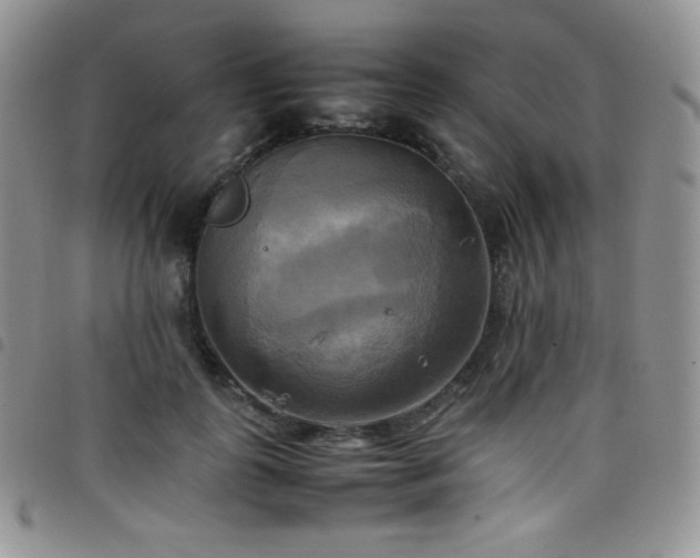 X0000099230747200804241452
