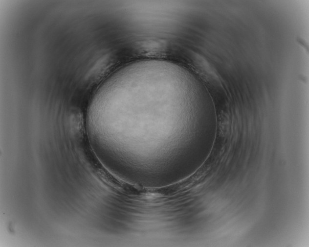 X0000099230748200804241452