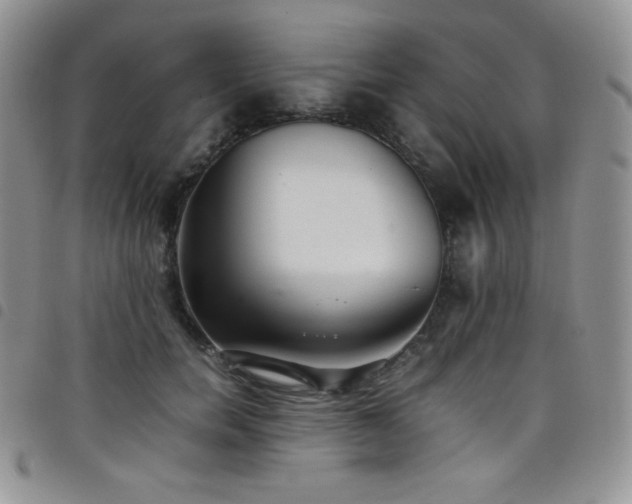 X0000099230750200804241452
