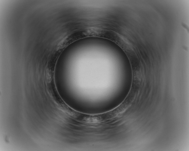 X0000099230751200804241452