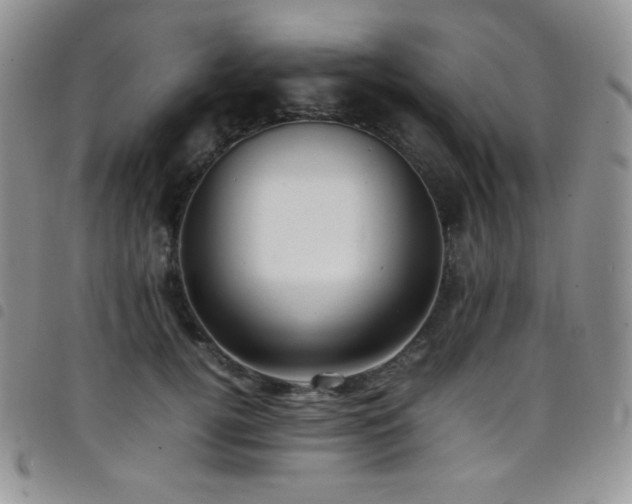 X0000099230752200804241452
