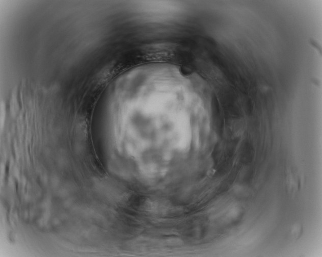 X0000099230753200804241452