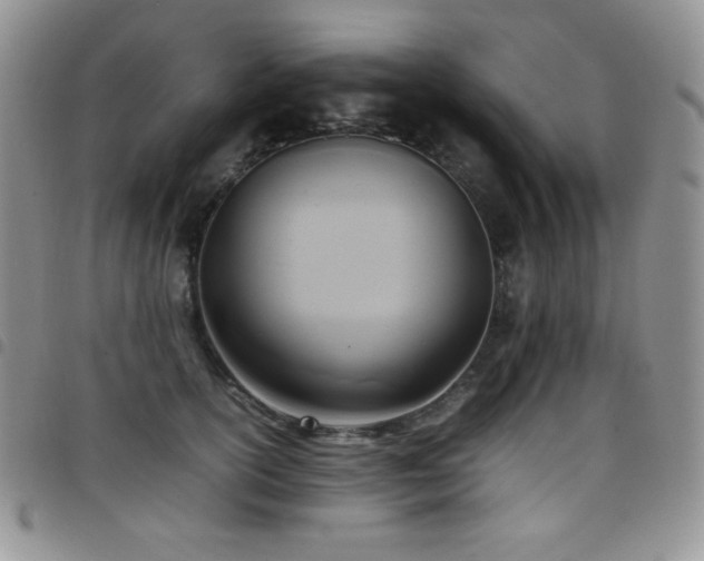 X0000099230754200804241452