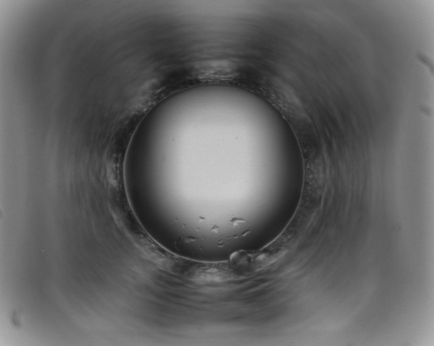 X0000099230755200804241452