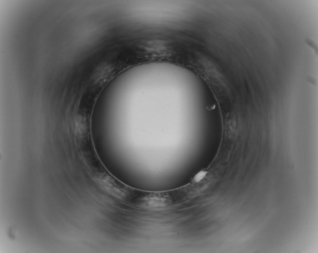 X0000099230756200804241452