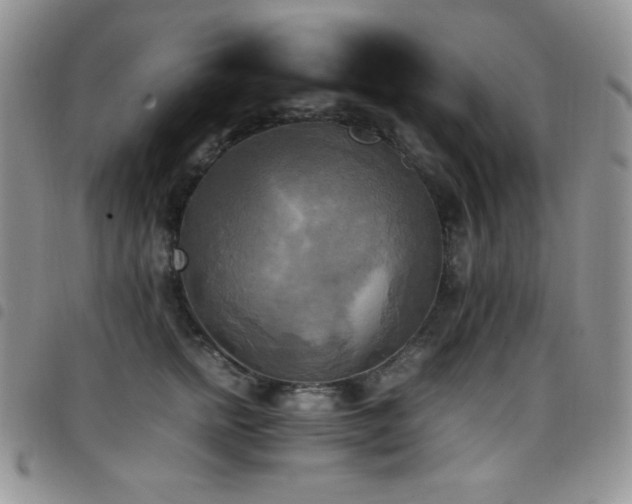 X0000099230758200804241452