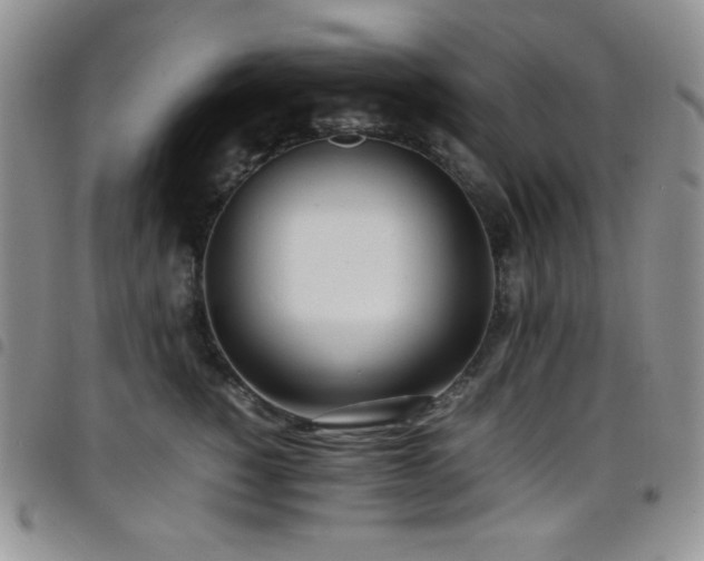 X0000099230760200804241452