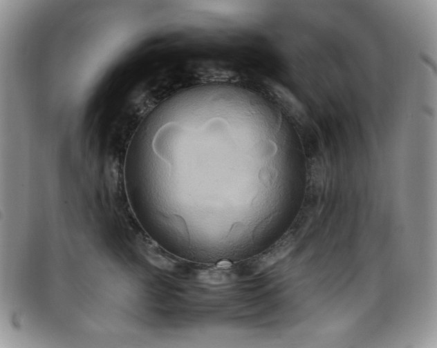 X0000099230761200804241452