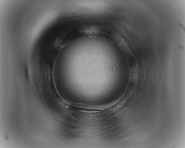 X0000099230762200804241452