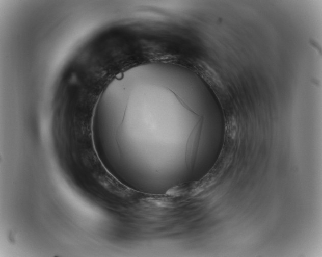 X0000099230763200804241452