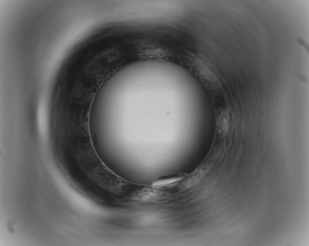 X0000099230764200804241452
