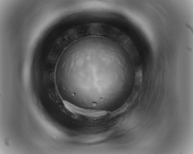 X0000099230765200804241453