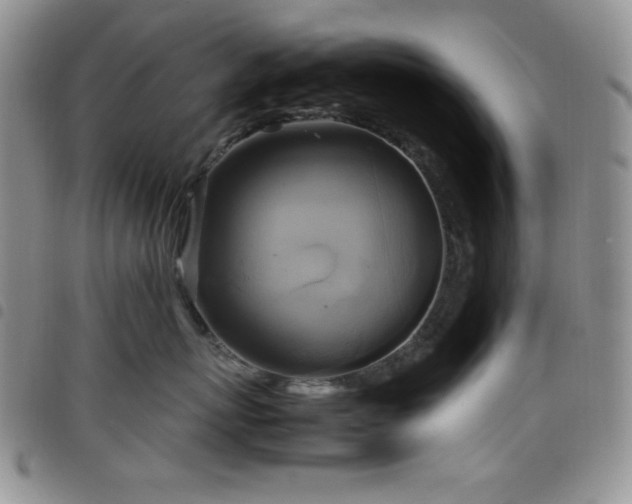X0000099230767200804241453