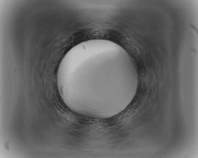 X0000099230769200804241452