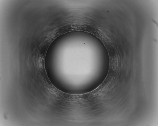 X0000099230770200804241452
